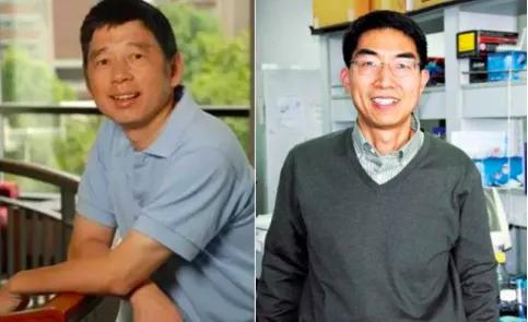 一个“异端邪说”是如何一步步走到聚光灯下?