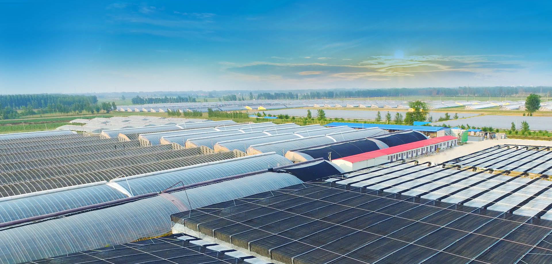 山东绿禾肥业有限公司,山东绿禾农业综合开发