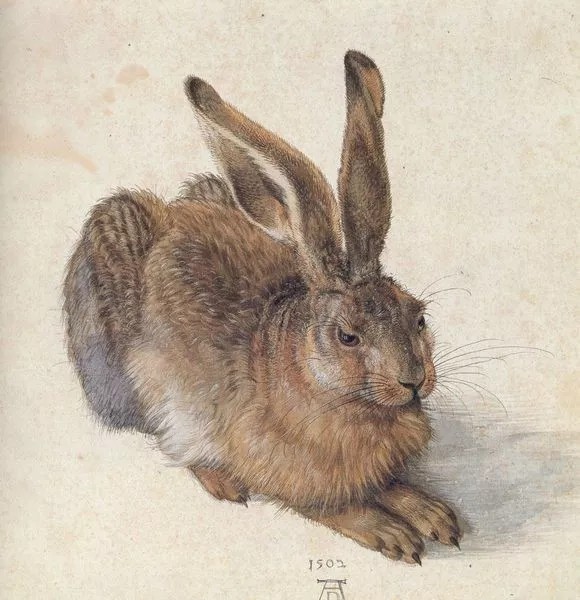 评价一幅素描的优劣的标准是什么？