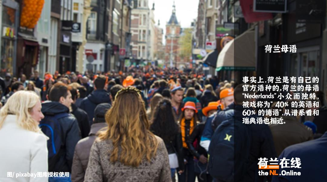 荷兰语到底有什么难,荷兰人说荷兰语吗怎么说