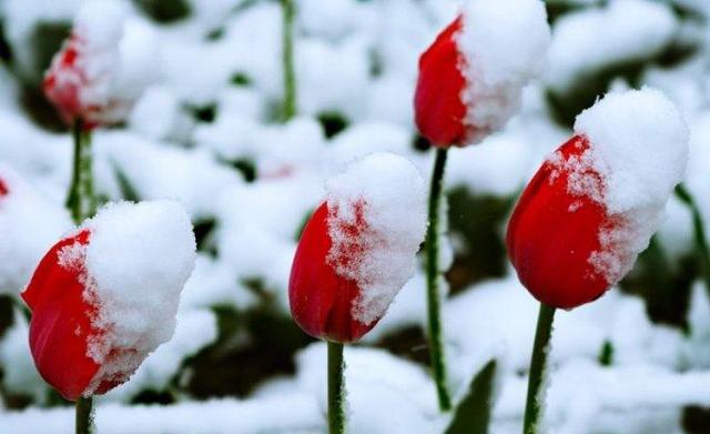 西宁这座城市繁华吗,西宁是怎样一座城
