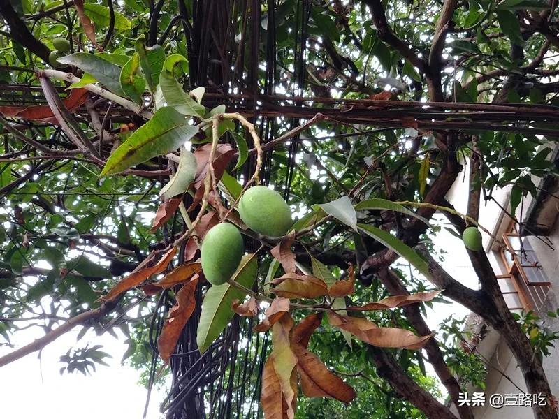 每天都有你想吃的海鲜美食,海鲜美食等你来品尝