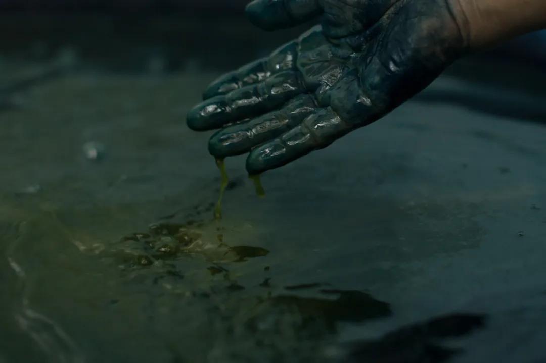 租下城郊200㎡小院，和陌生人一起生活5年：唱歌、染布、盖树屋