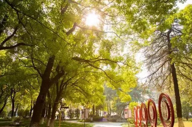 中国丹阳眼镜城在哪,丹阳市眼镜批发市场