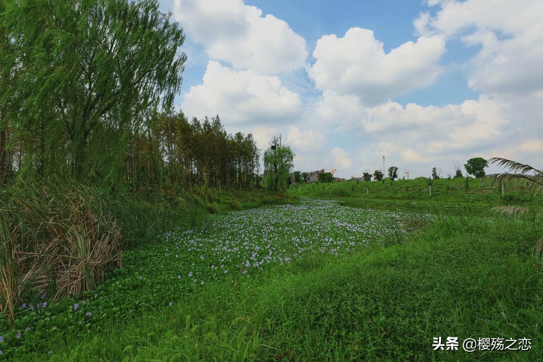 度假好去处嘉兴清池温泉度假村,嘉兴度假村旅游景点大全