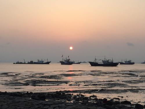 日照绿茶价格表,日照有什么好玩的地方