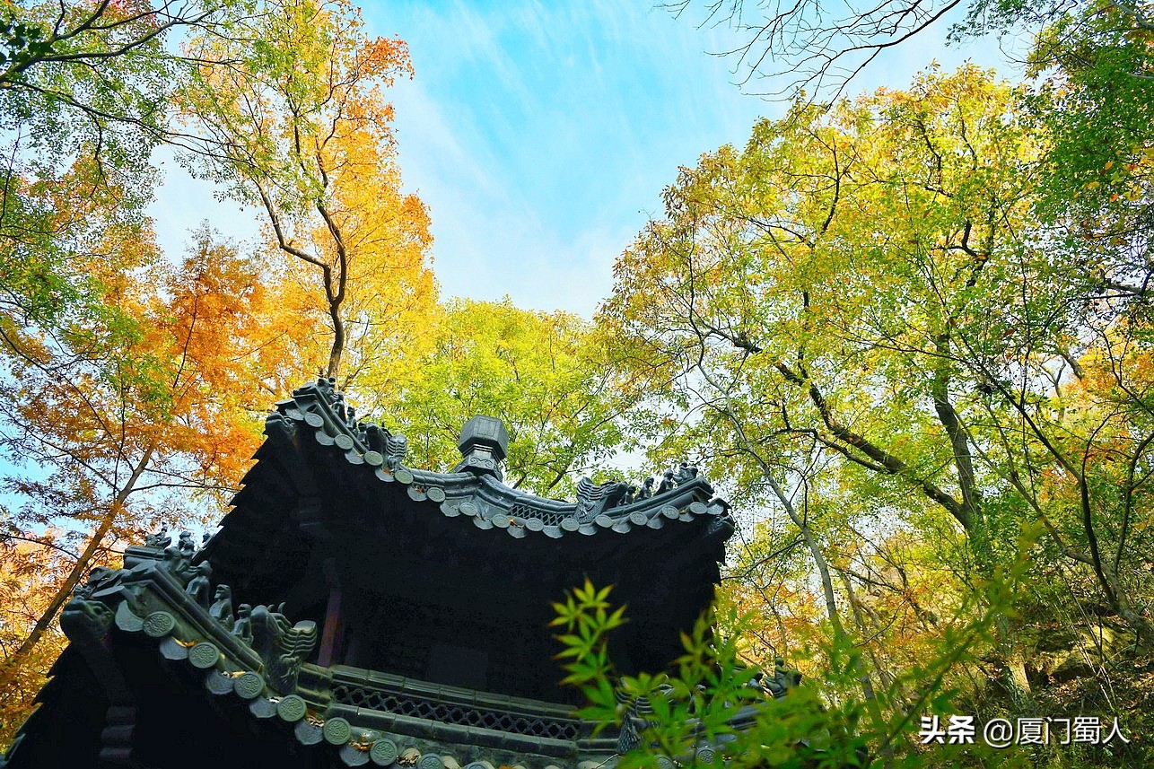 南京四大赏枫地 (南京赏枫胜地)