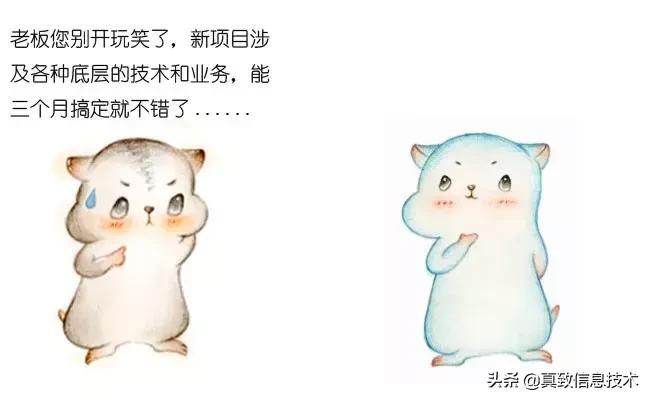 什么是中台元仓,什么是中台测试