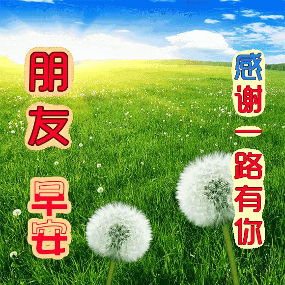 舒展快乐的笑脸,舒展美丽的笑脸拥抱快乐的一天