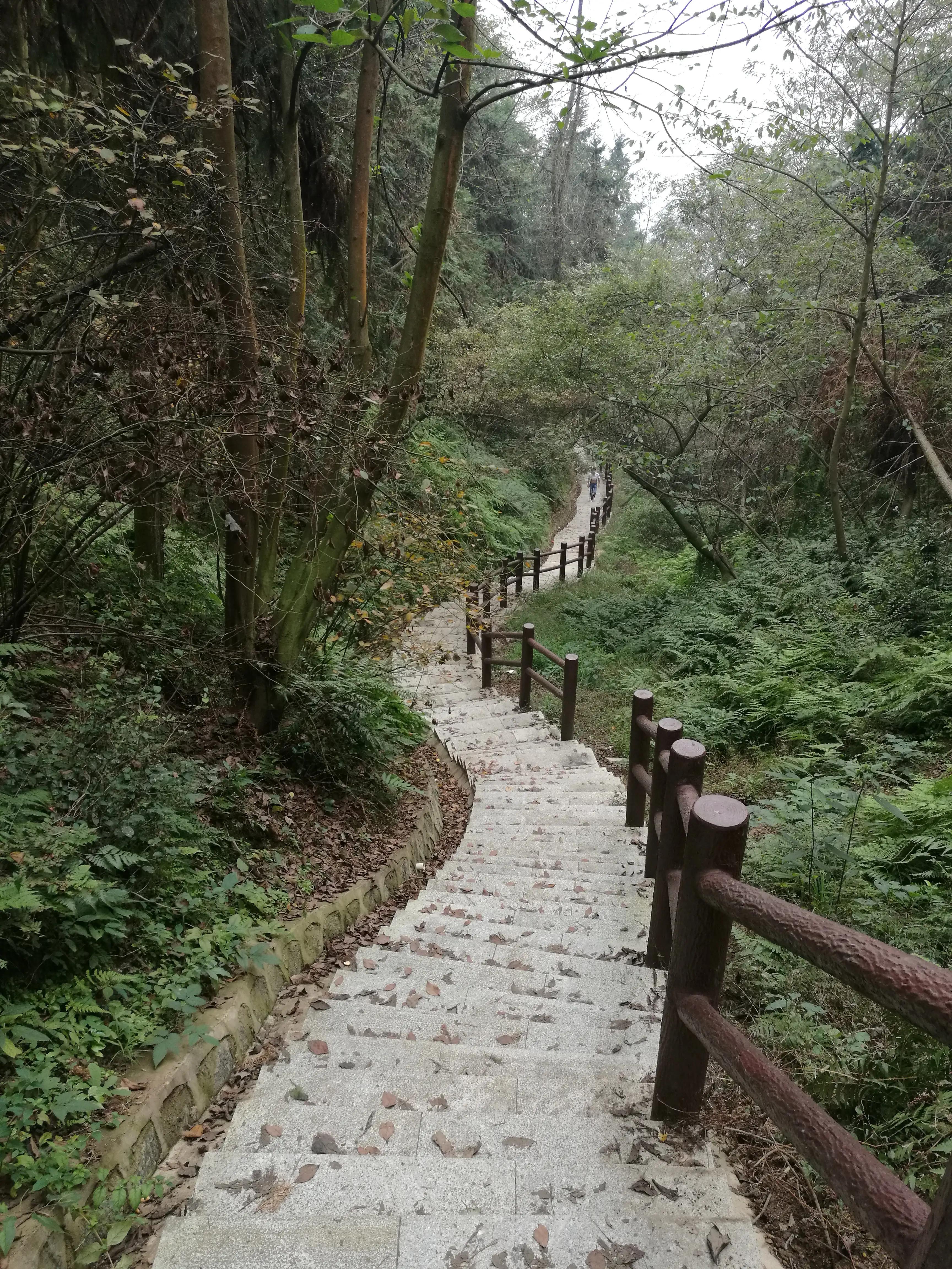 阁皂山为什么被称为第三十三福地,阁皂山是谁御赐的福地