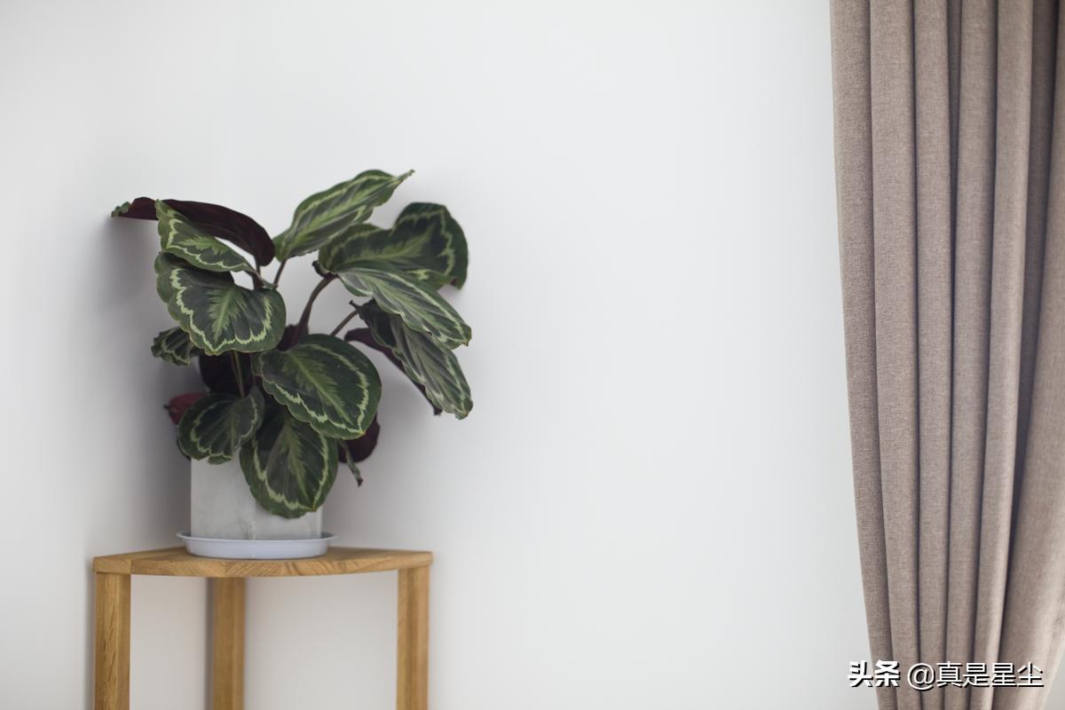 有钱没钱装套房：晒晒我的第二小窝