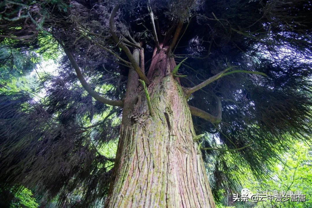 什邡蓥华大峡谷漂流还有什么玩的,九龙溪漂流和蓥华大峡谷漂流