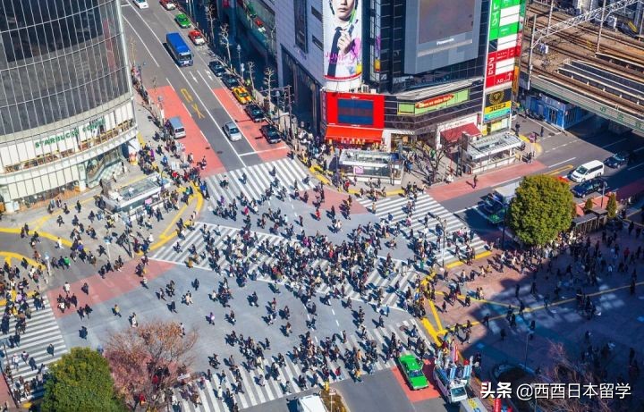 日本东京分为哪些市,日本东京各区