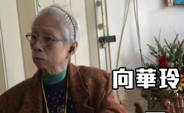 向华强大佬视频集锦,向华强向华炎