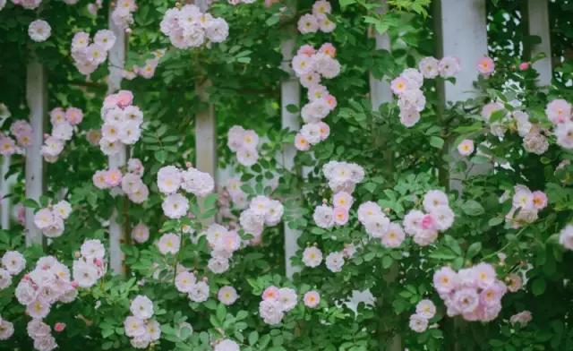 南京是属于哪个省的,南京是现在的哪个城市