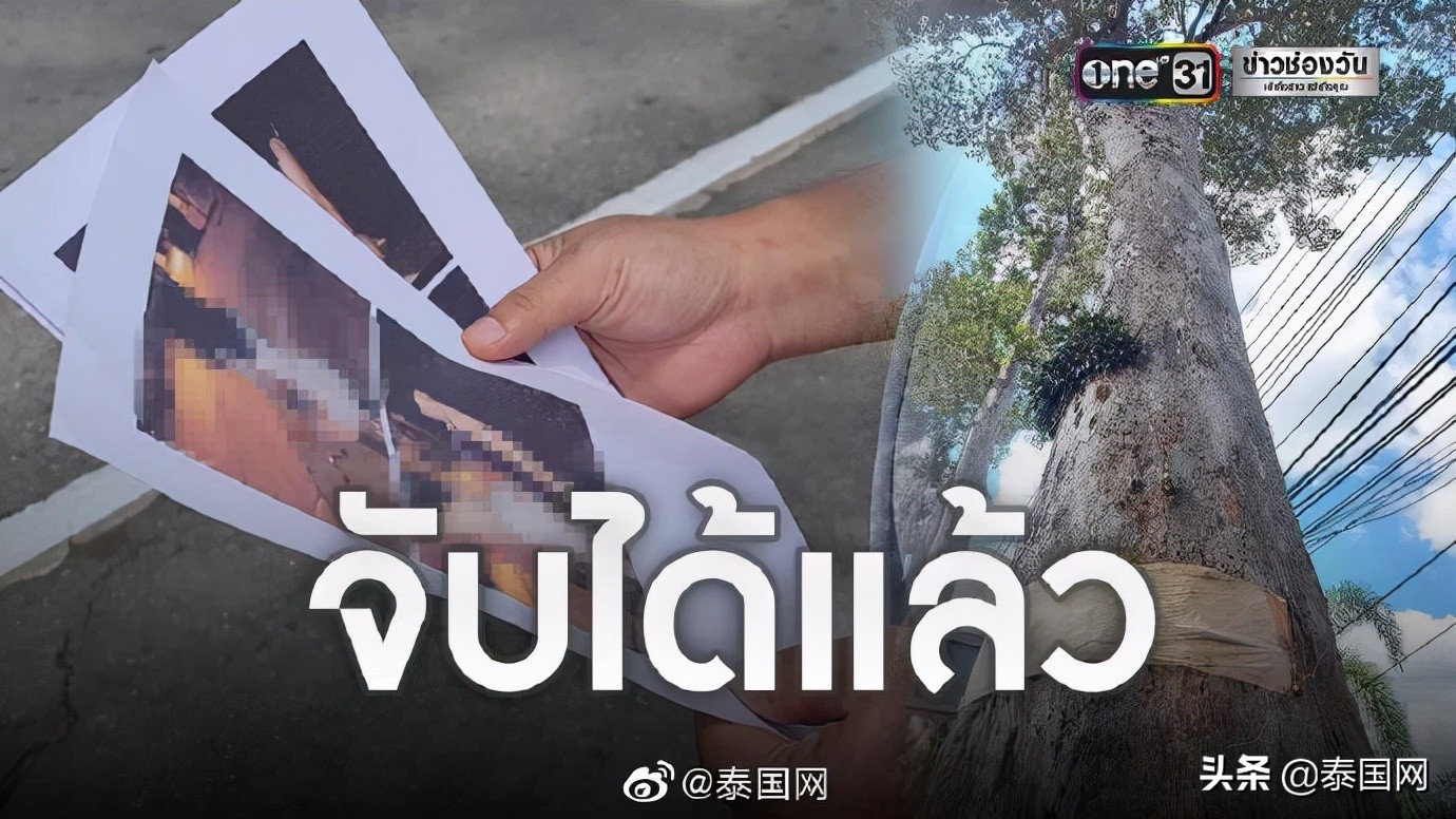 当街*战野**拍淫秽视频震怒神明？泰国情侣被逮捕