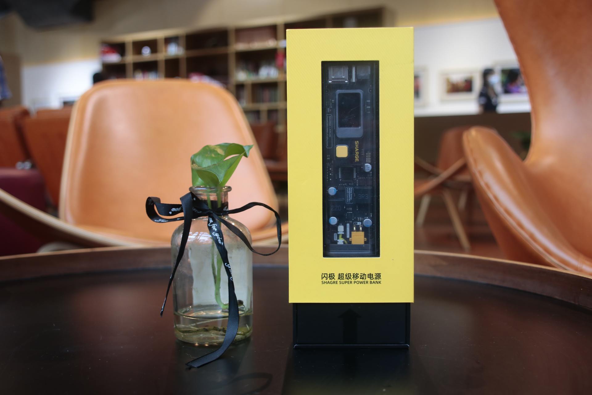 除了超高颜值,闪极卖千元的勇气是什么?一枝独秀