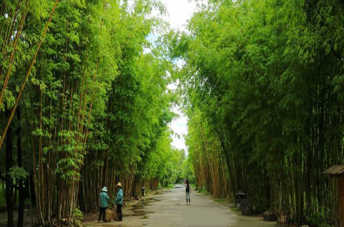 洱海旅游景点攻略,西安洱海旅游攻略必去景点