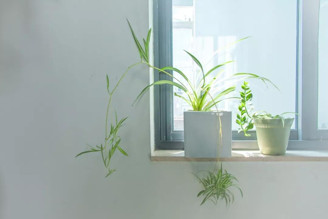 围城讲婚姻的道理,围城里的婚姻经典语录