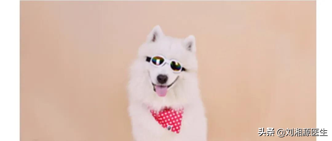 「免疫相关不良妊娠答疑解惑47」——艾滋病病毒,HIV感染