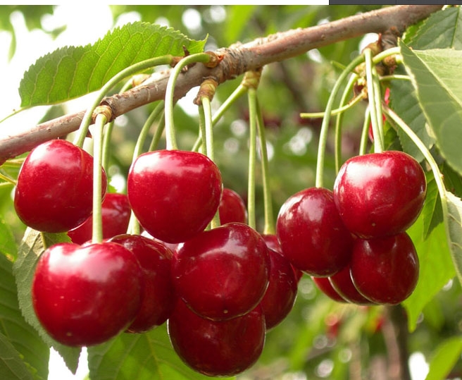 怀着忐忑心态来的铂爵旅拍到底怎么样?