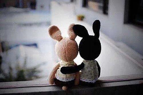 看各科老师所写的情书,盘点各科老师写给爱人的情书