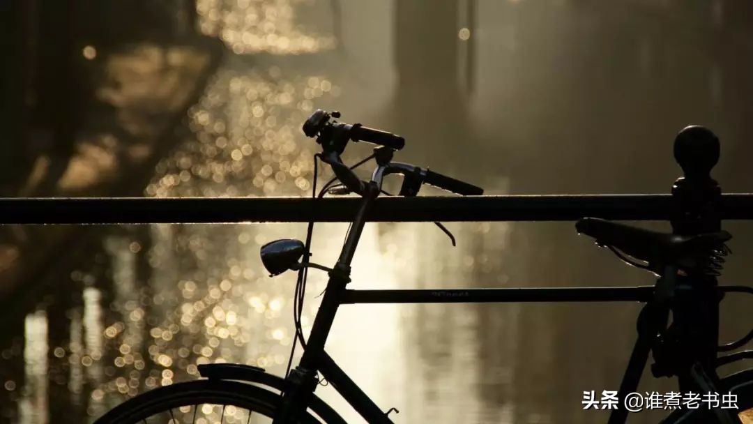 5本都市小说,五本都市类小说