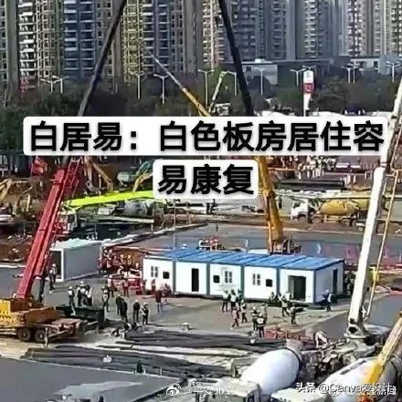 最新野生文案大全,看野生动物发的文案