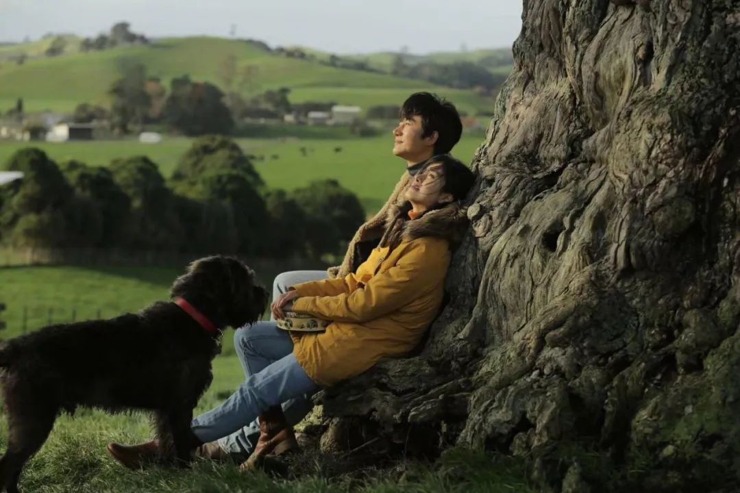 冯小刚和徐帆的爱情,冯小刚和徐帆的20年前