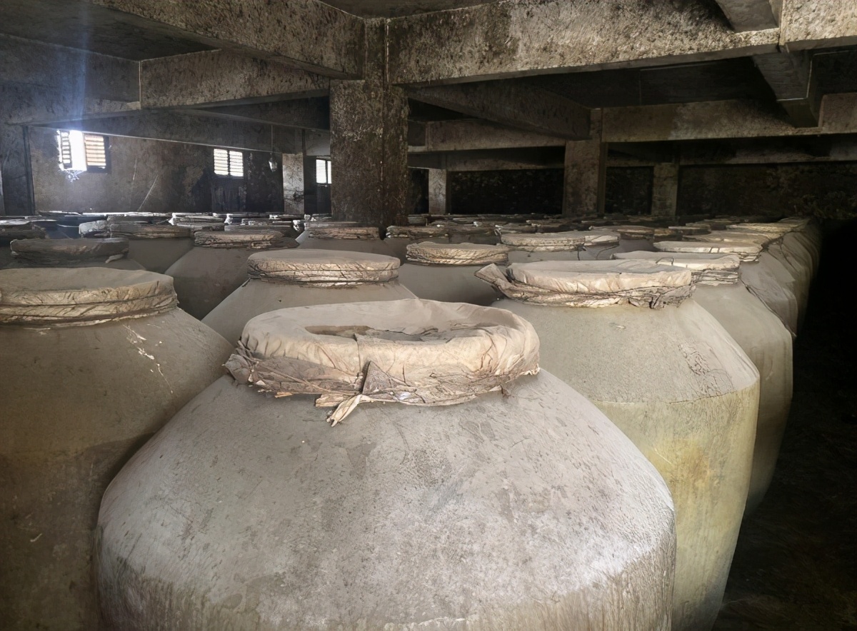 年轻人创业好项目有哪些?仁战酒为你打开创业之门