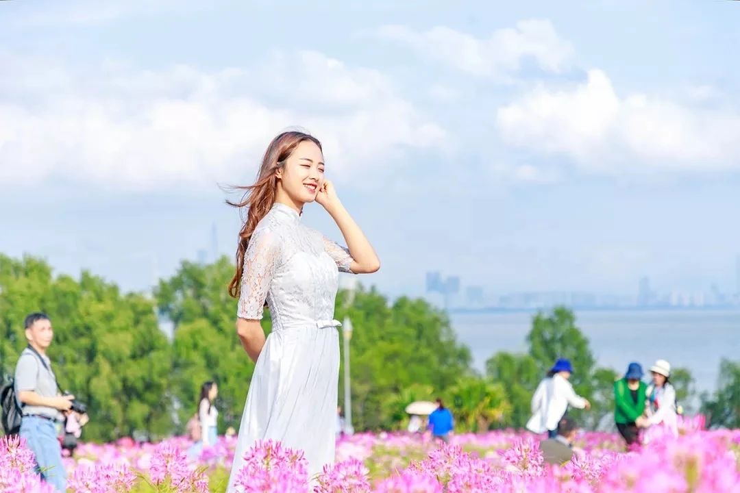 深圳这27个热门游玩地，坐2号线全都能到