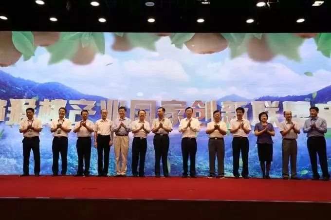 眉县猕猴桃为什么能上央视,眉县猕猴桃品牌故事