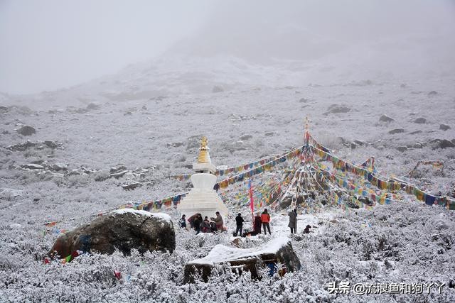 年保玉则现在开放了吗,年保玉则为啥被封