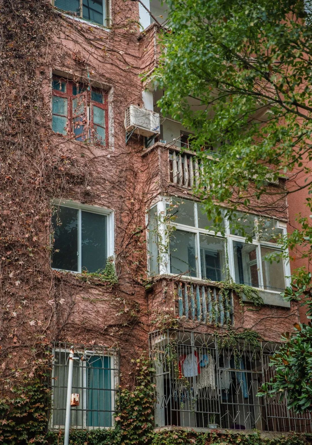 婀栧崡闀挎矙姘戞斂瀛﹂櫌,闀挎矙姘戞斂鑹烘湳瀛﹂櫌