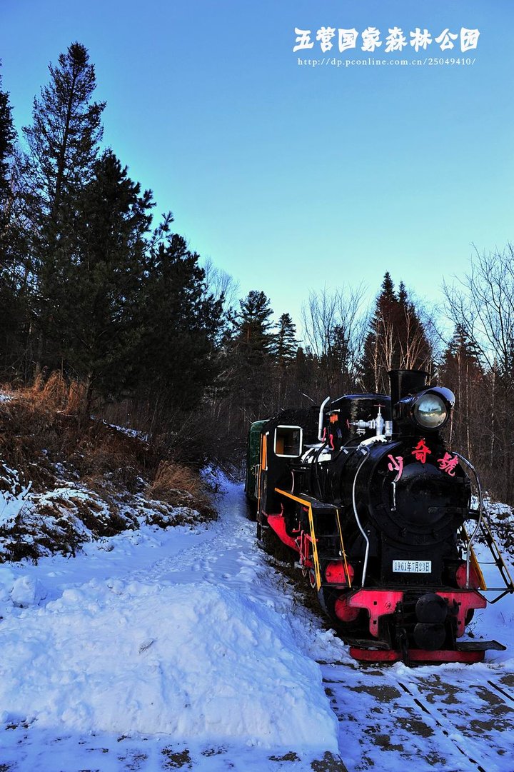 黑龙江伊春马莲林场,黑龙江伊春在中国地图哪个位置