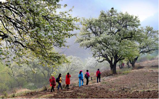 沈阳春暖花开,春暖花开沈阳自由行攻略