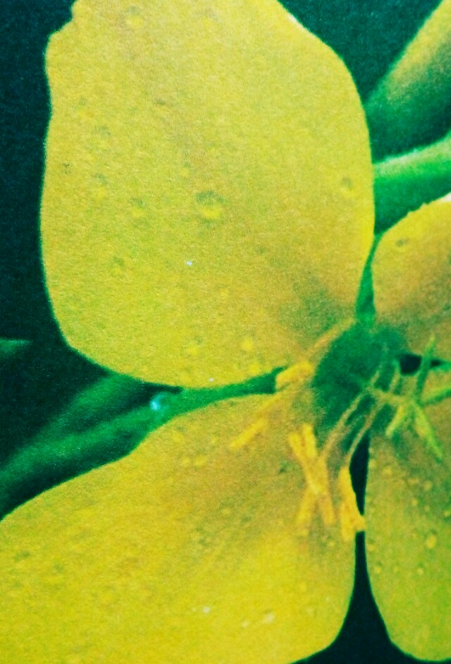 什么叫团结是最好的力量,有一种力量叫团结优美句子