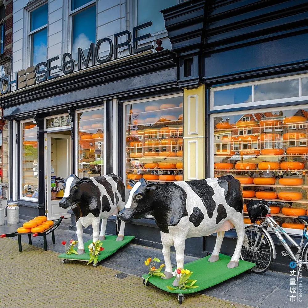 5.16国际牛奶日,每天一杯牛奶强壮中国人