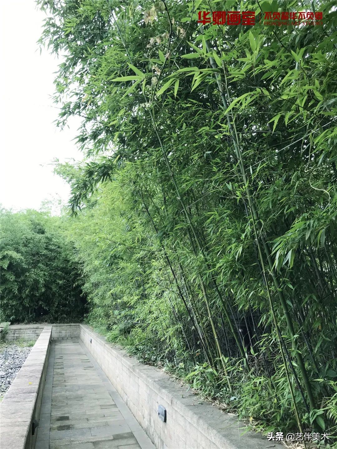 北京华卿画室2023成绩,在北京华卿画室参加美术培训好吗