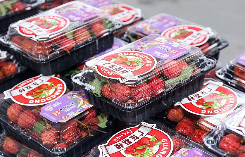 C位出道亮相山城！连续霸榜的广东荔枝到底有啥魔力？