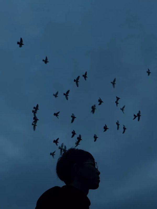 摄影瓶颈期怎么打破,怎样度过摄影瓶颈期