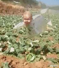 搞笑gif开心一刻满满的正能量,搞笑gif开心每一天