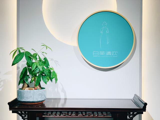 白茶清欢女子学院,白茶清欢一个人