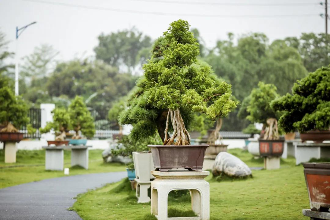 在大山深处幽静绝美的村落,深藏大山中的村落