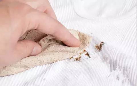 白衣服有污渍如何处理,衣服上的顽固污渍怎么处理