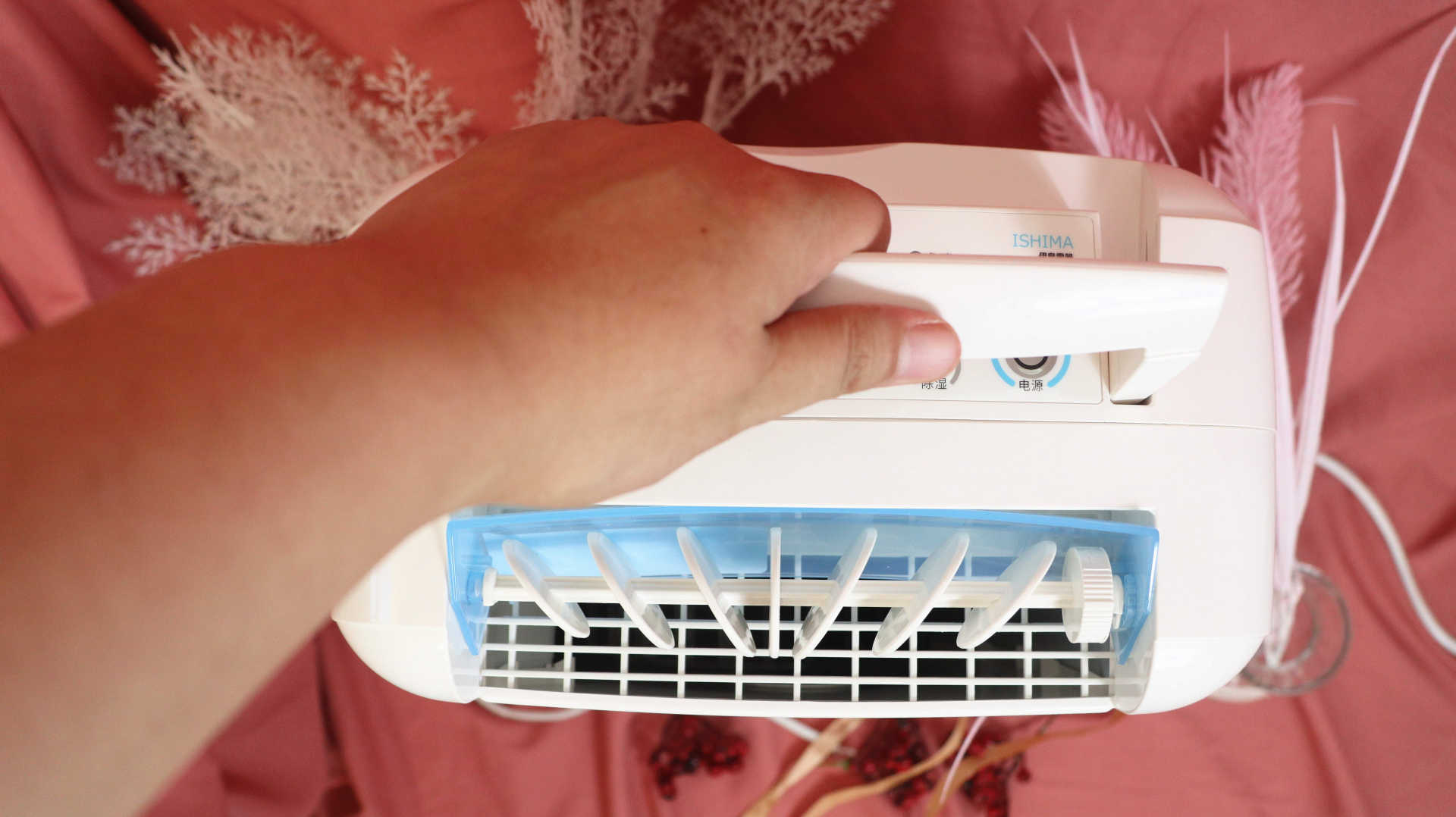 万千宠爱于一身日语版原曲,万千宠爱于一身原诗