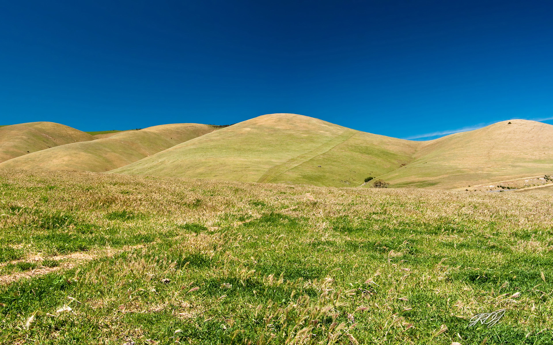 三十而立，四十不惑，五十知天命，很多人没有看透真正的含义！