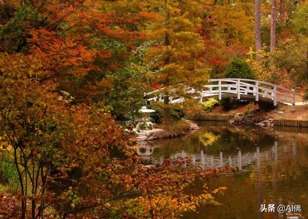 美国康奈尔大学校园风景,美国校园美景