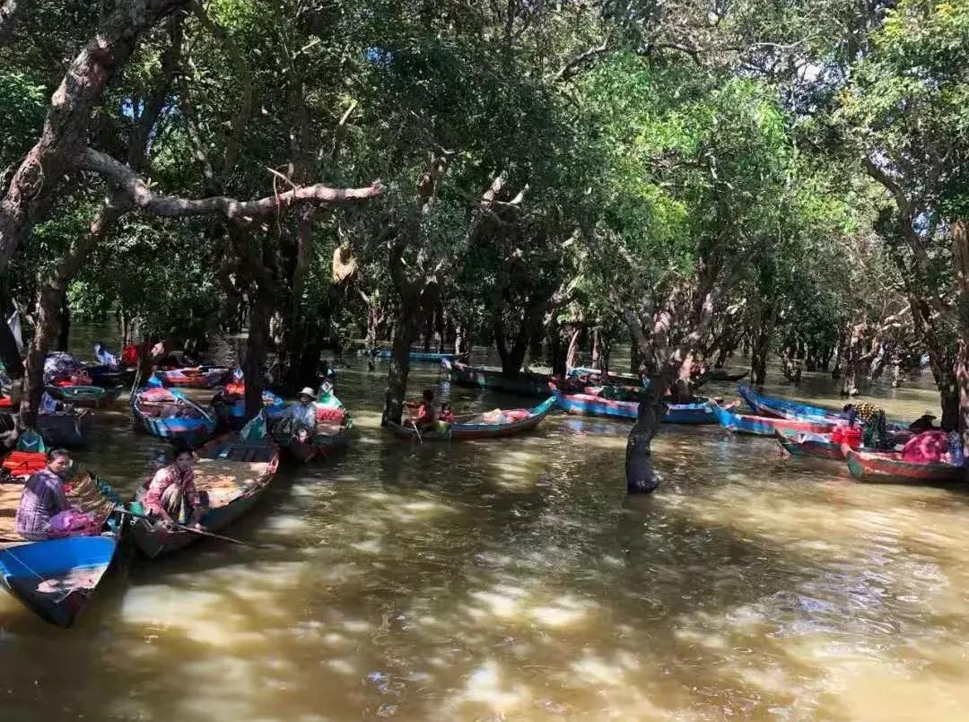 柬埔寨吃喝玩乐全攻略,人均2000带你玩转柬埔寨