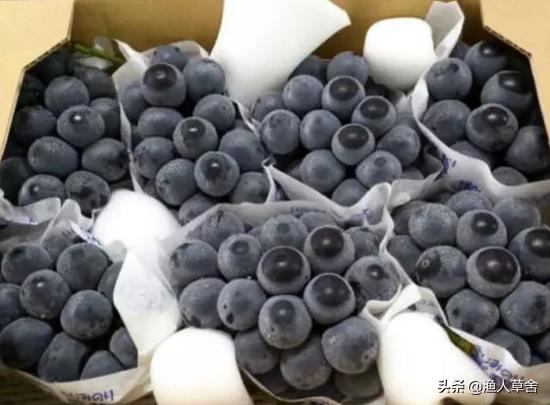 葡萄精细化管理,葡萄产业发展的问题及对策